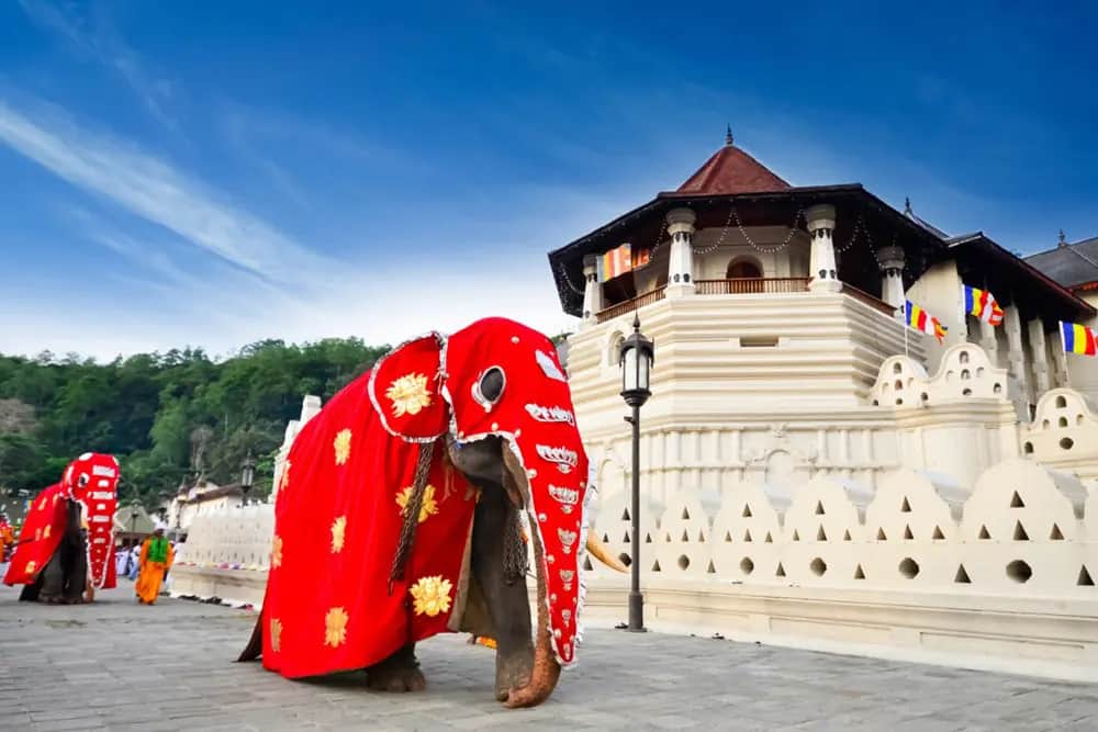 Kandy