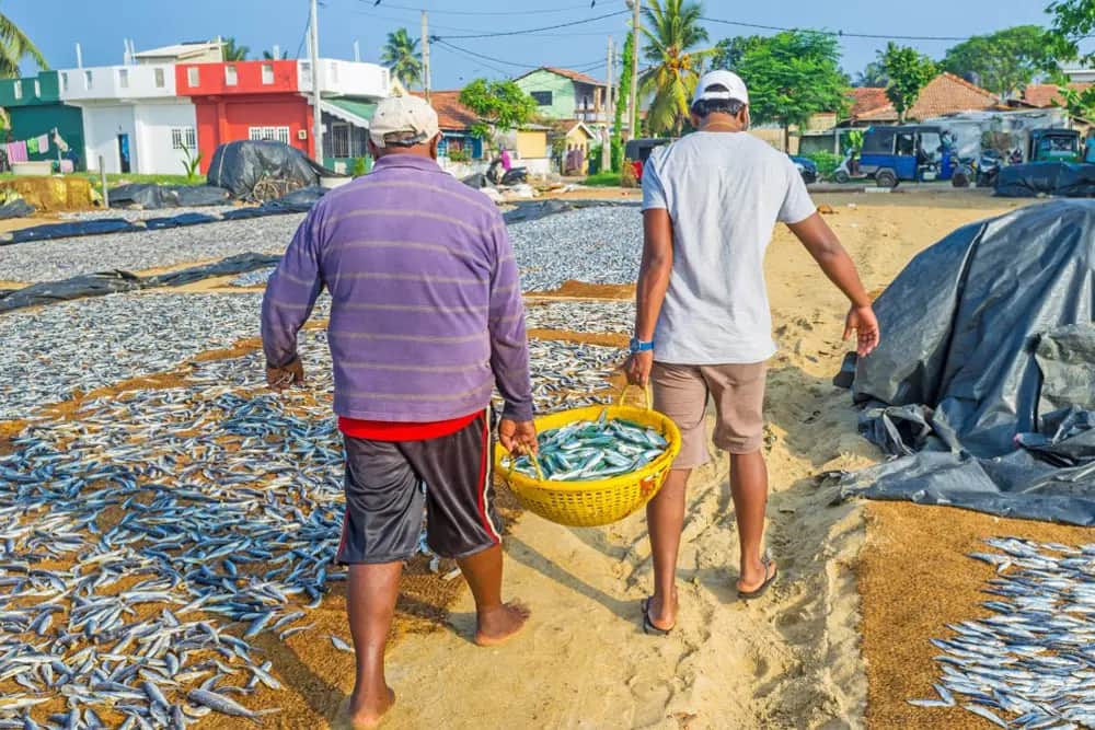 Negombo