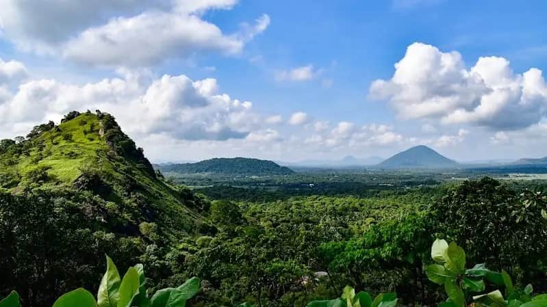 Hotels in Gal Oya Hotels in Gal Oya