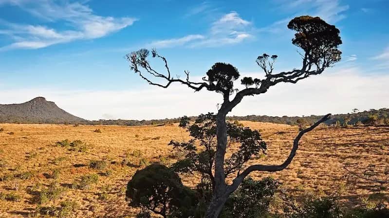Hotels in Horton Plains Hotels in Horton Plains