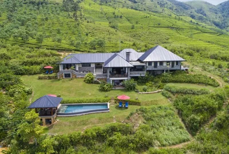 Camellia Hills