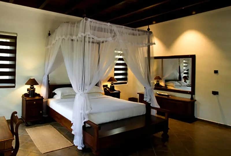 Suite-Zimmer - Forest Rock Garden Suite-Zimmer - Forest Rock Garden