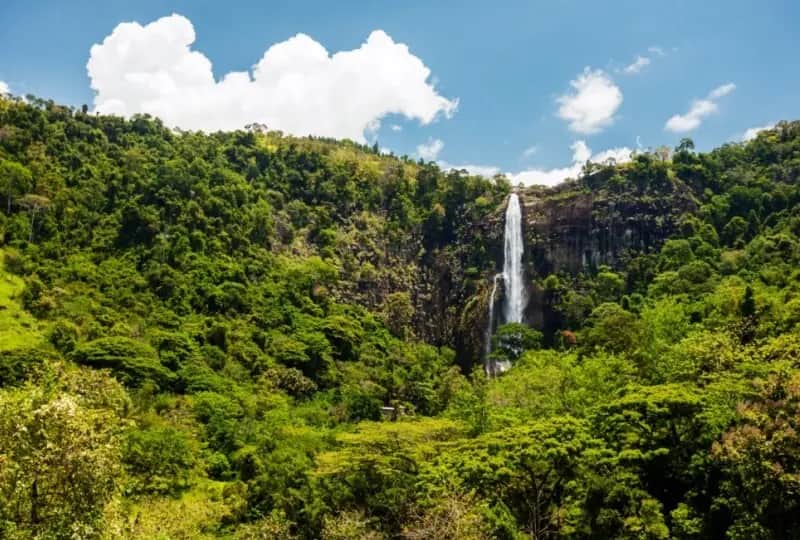 Bambarakanda Ella Wasserfall