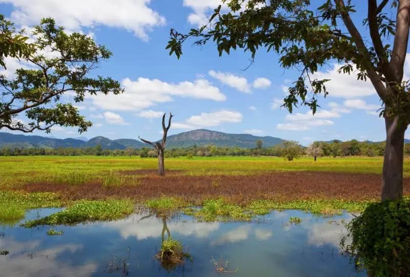 Divurumpola