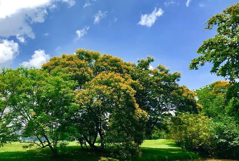 Golf in Trincomalee