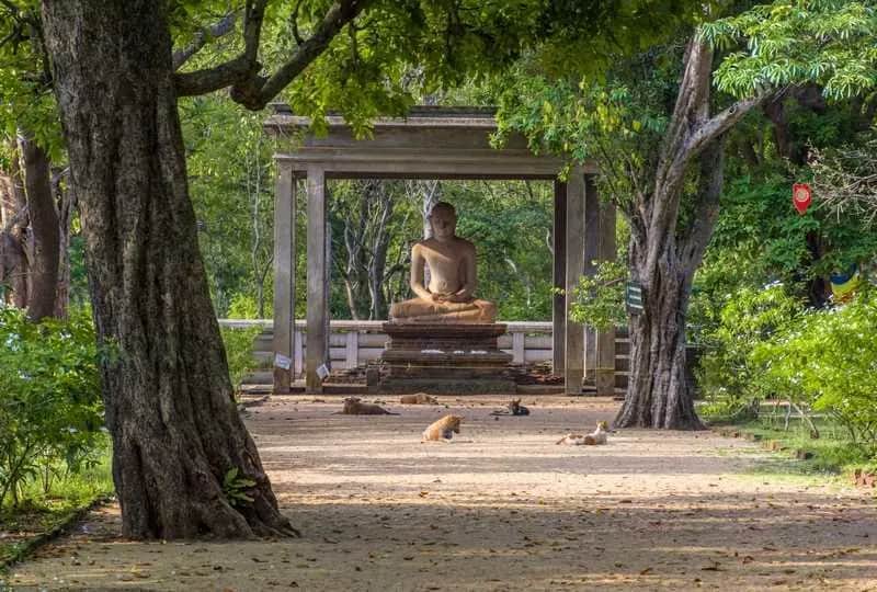 Mahamewna Park