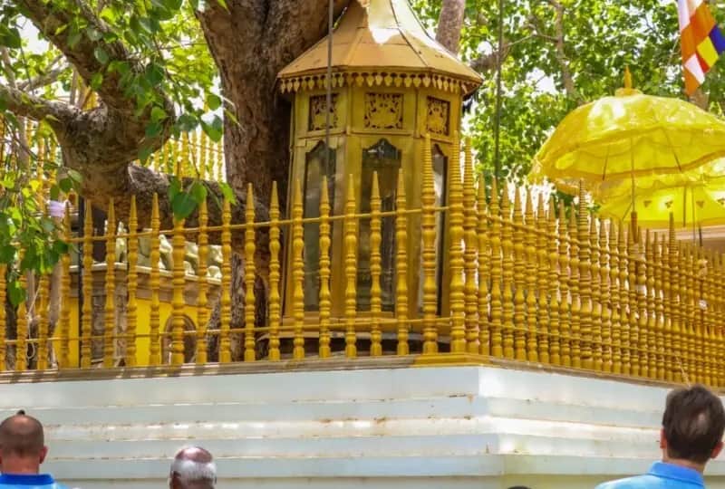 Sri Jaya Sri Maha Bodhi