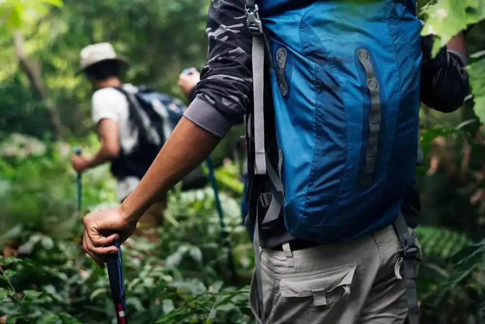 Wandern und Trekking