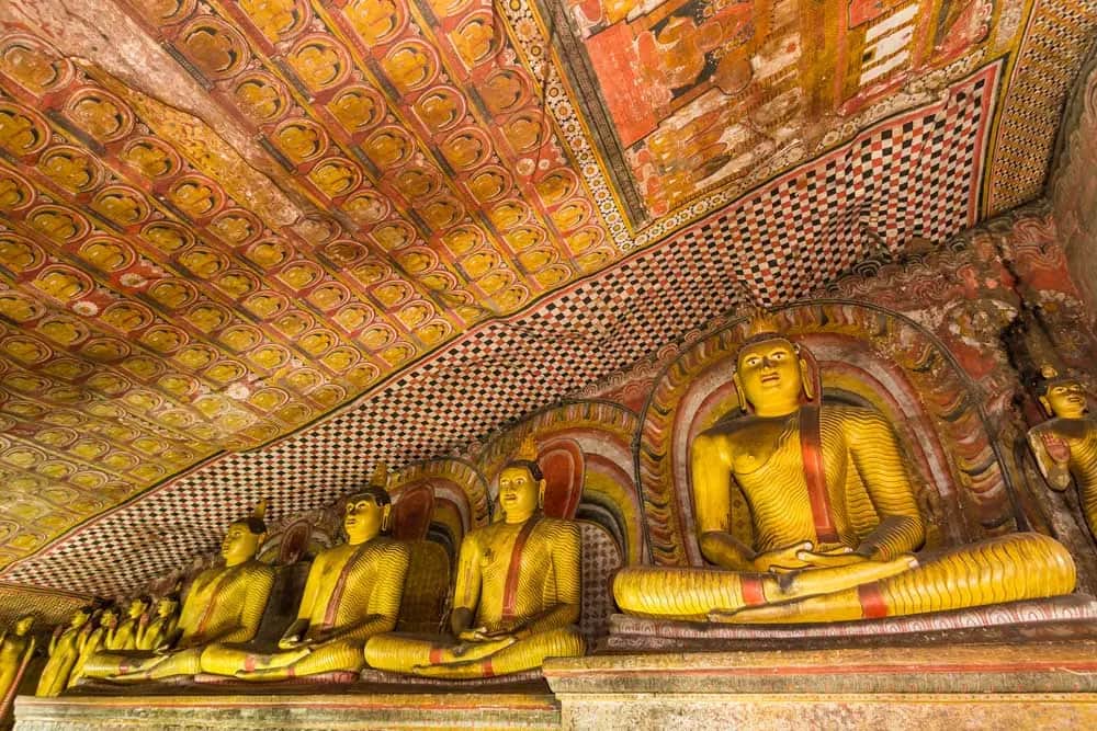 Aktivitäten in Dambulla