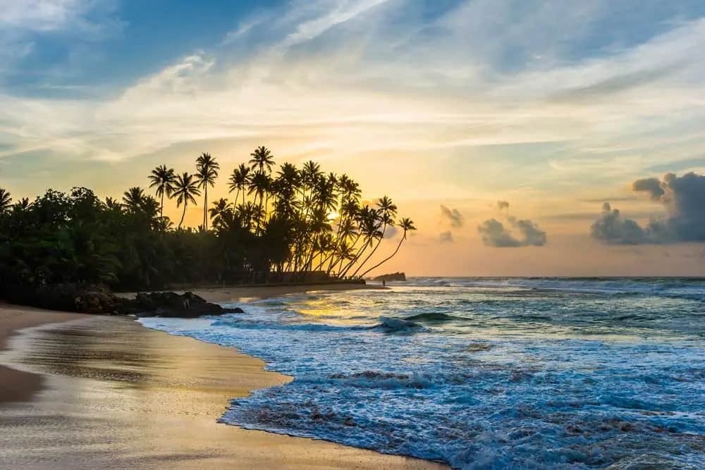 Aktivitäten in Galle Aktivitäten in Galle