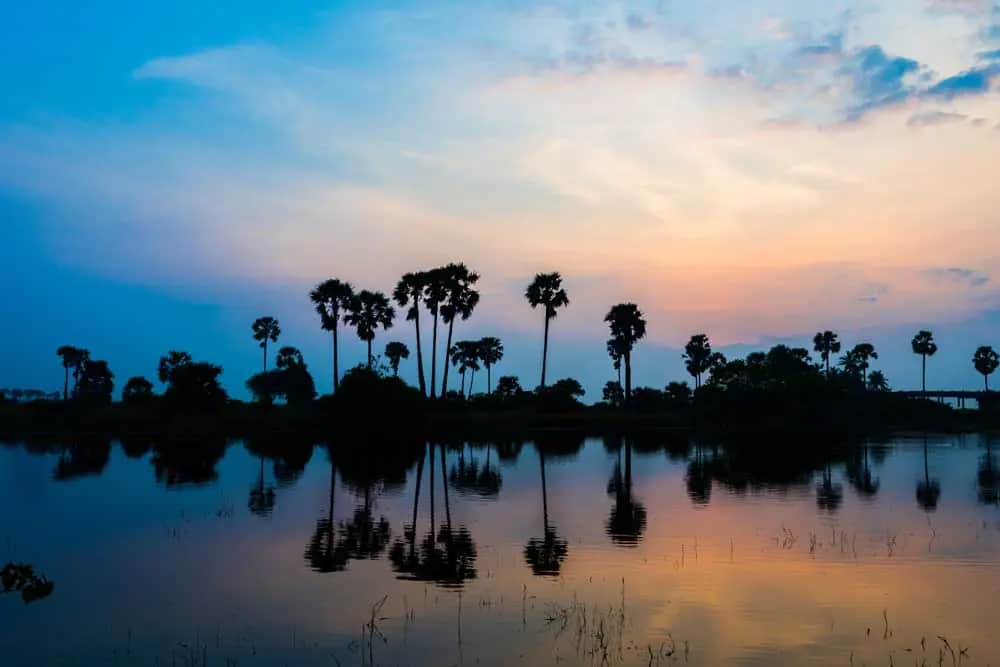 Aktivitäten in Jaffna