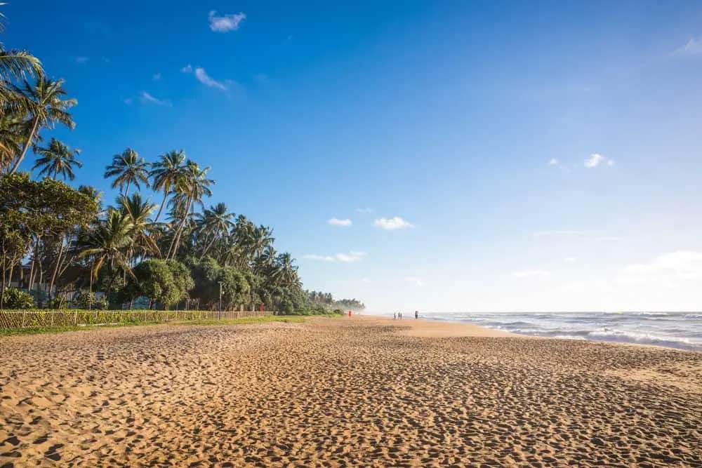 Aktivitäten in Kalutara